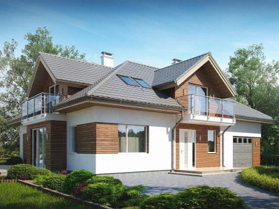 Громовик 1